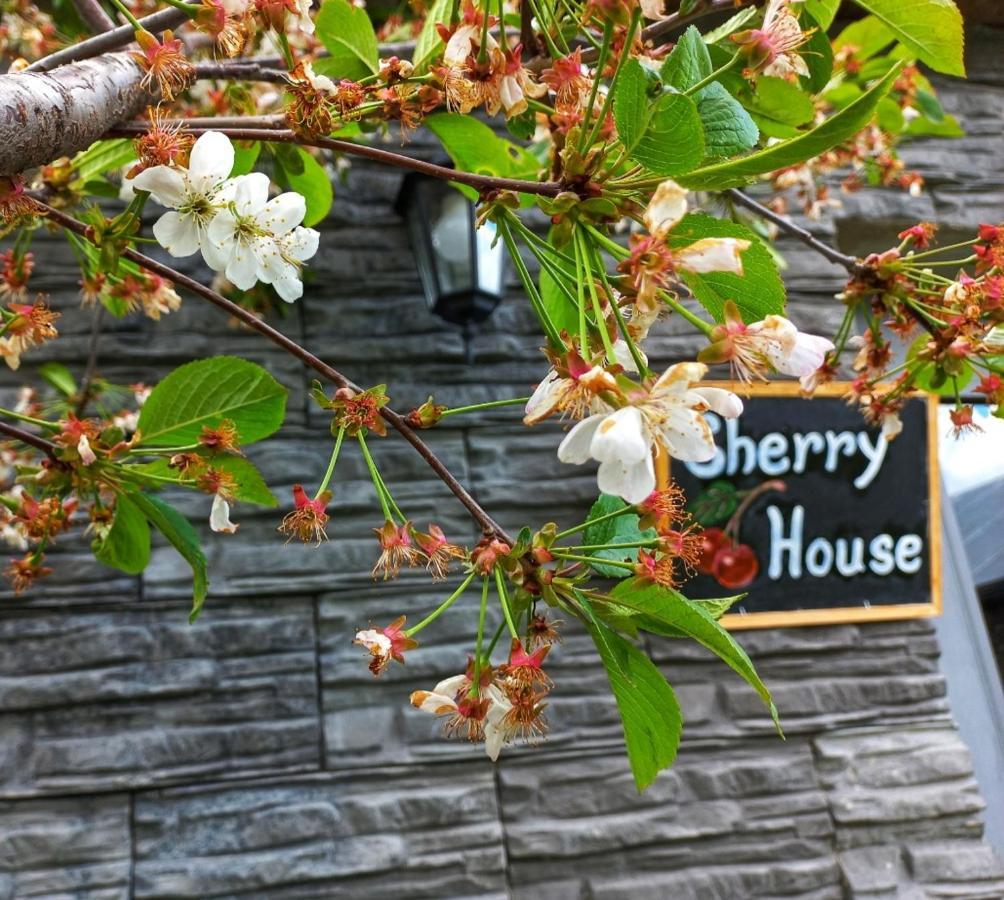 Cherry House 카즈베기 외부 사진